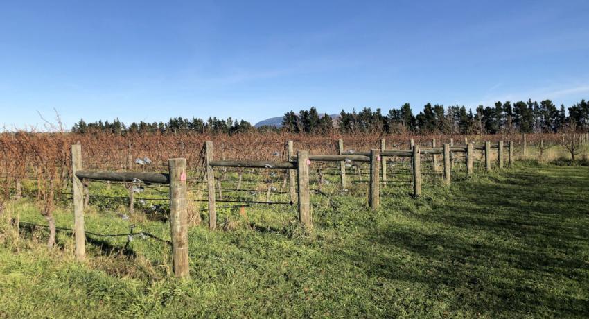 TCCOJC 8th Term 3rd Board of Directors Meeting