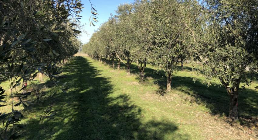 TCCOJC 8th Term 3rd Board of Directors Meeting